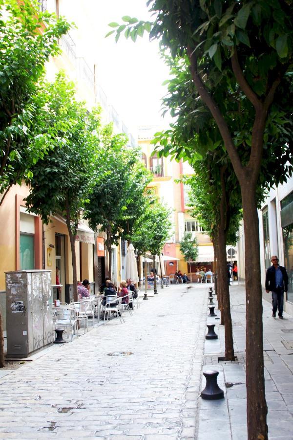 Appartamento Plaza Nueva Terraza